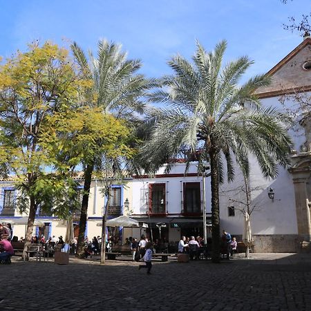 Munda Moon Villa Cordoba Exterior photo